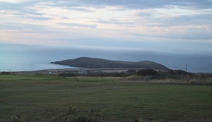 Cardigan Island seen from our top field